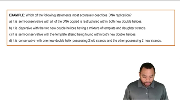 Intro to DNA Replication Example 1