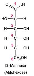 sugar alcohol Fischer projection