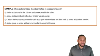 Intro to Amino Acid Catabolism Example 1