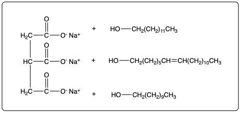 Chemical structure showing sodium salts produced in fat saponification with hydroxyl groups.