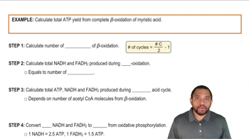 Total Energy from Fatty Acids Example 1