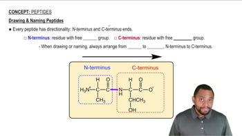 Drawing & Naming Peptides Concept 2