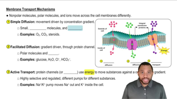 Membrane Transport Concept 2