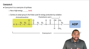 Coenzyme A Concept 4