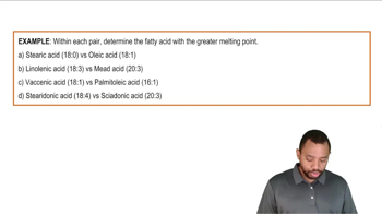 Physical Properties of Fatty Acids Example 2