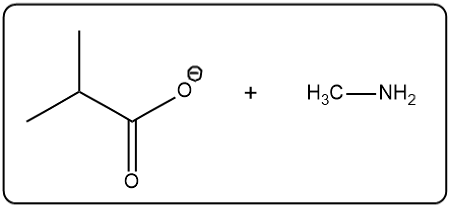 Hydrolysis of isobutyric acid with amine producing isobutyric acid and amine.