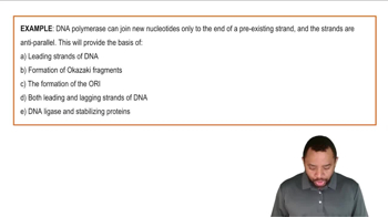 Steps of DNA Replication Example 1