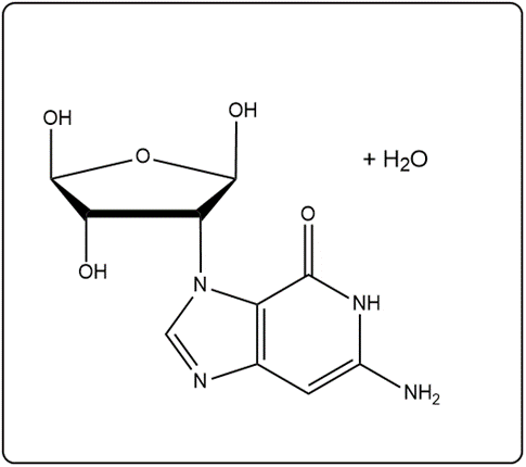 Visual representation of nucleoside and nucleotide formation with water produced.