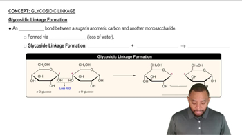 Glycosidic Linkage Formation Concept 1