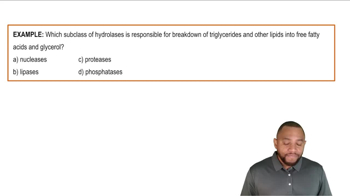 Hydrolases Example 5