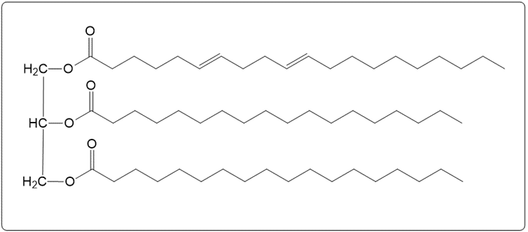 Chemical structure of triacylglycerol for hydrogenation reaction in a box.