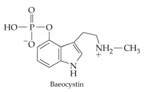 Chemical structure of Baeocystin, a hallucinogenic compound from Psilocybe baeocystis, labeled with its components.
