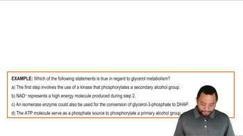 Glycerol Metabolism Example 2