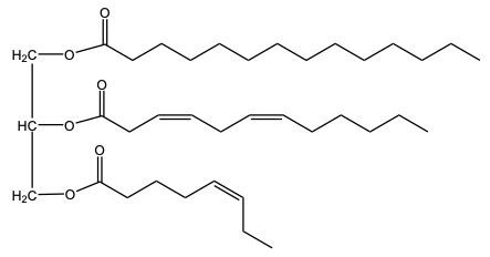 triacylglycerol structure