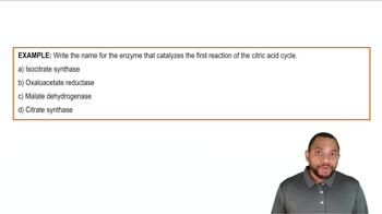 Remembering Citric Acid Cycle Example 6