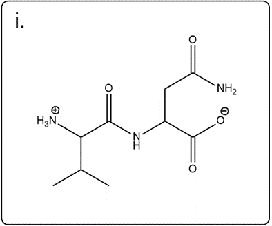 Line-angle structure of isoleucylglutamine for educational purposes.