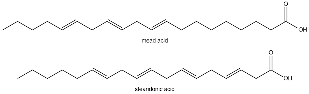 Skeletal structures of mead acid and stearidonic acid for fatty acid study.