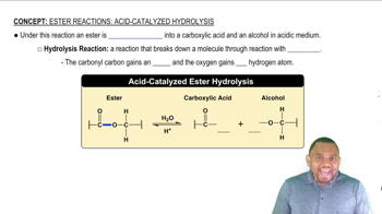 Acid-Catalyzed Ester Hydrolysis Concept 1