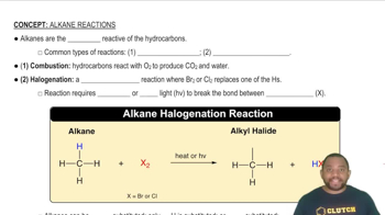 Common Types of Alkane Reactions Concept 1