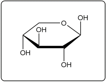 Cyclic furanose structure of ß-D-xylofuranose with hydroxyl groups.