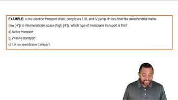 Membrane Transport Example 1