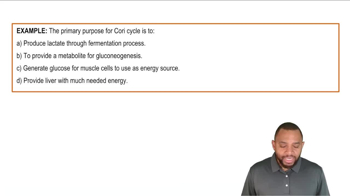 Cori Cycle Example 6