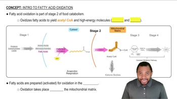 Intro to Fatty Acid Oxidation Concept 1