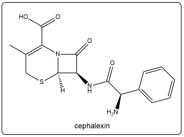 Chemical structure of cephalexin highlighting functional groups for organic chemistry.