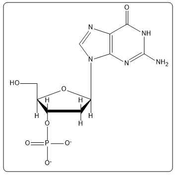 Different view of adenosine 5'-phosphate, showing its chemical components.