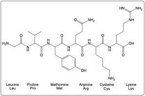 Peptide structure with amino acids: Leu, Pro, Met, Arg, Cys, Lys.