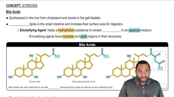 Steroids Concept 3