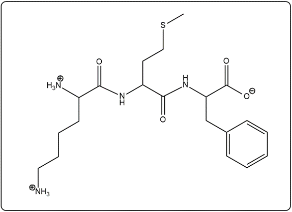 Skeletal structure of the peptide Lys-Met-Phe, showing amino acid connections.