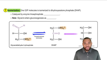 Gluconeogenesis Concept 8