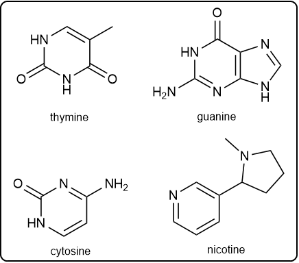 Chemical structures of thymine, guanine, cytosine, and nicotine for identifying purine bases.