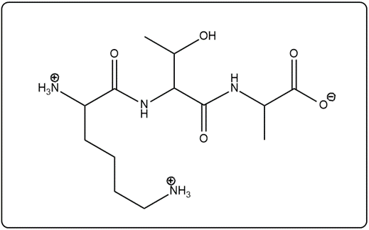 Skeletal structure of the peptide HSG, showing amino acids and bonds.