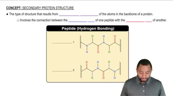 Secondary Protein Structure Concept 1