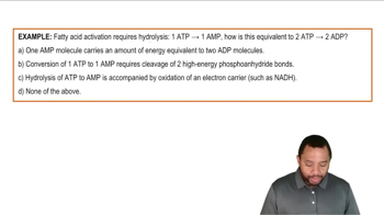 Oxidation of Fatty Acids Example 1