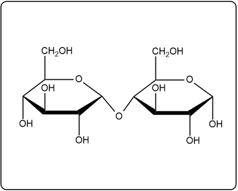 Haworth structure of isomaltose, featuring two α-D-glucose molecules linked by an α(1→6) glycosidic bond.