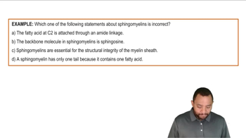 Sphingomyelins Example 1