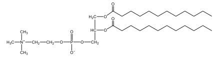 glycerophospholipid