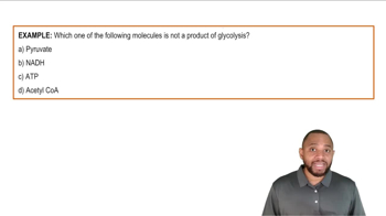 Intro to Glycolysis Example 1