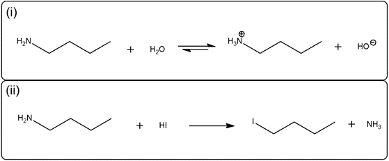 Balanced equations for 1-butanamine with water and HI, including charged species.