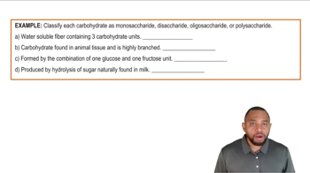 Classification of Carbohydrates Example 1