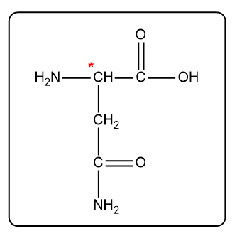 Structure of asparagine with an asterisk marking a possible chiral carbon.