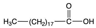 fatty acid molecule