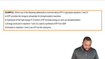 Glycolysis Example 1