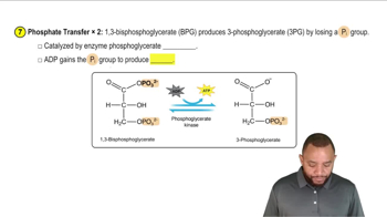 Glycolysis Concept 8