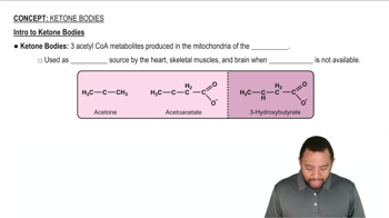 Ketone Bodies Concept 1