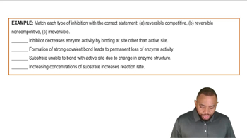 Enzyme Inhibition Example 1