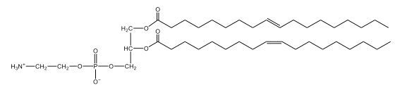 cephalin